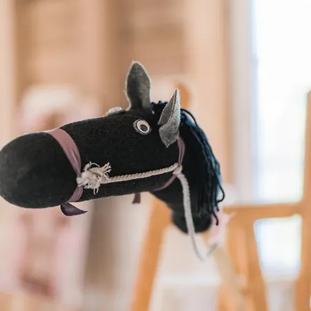 Ferienhaus Hof Köhne - Haus Feldscheune Links