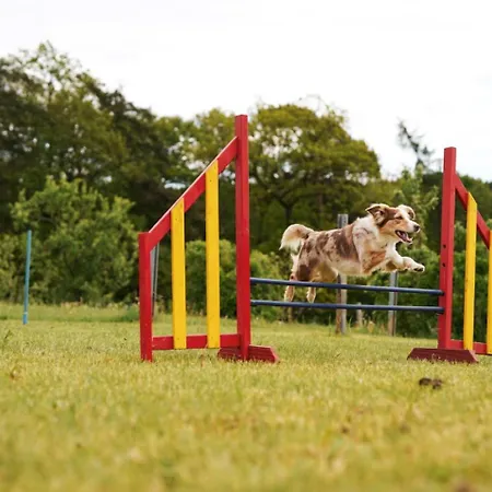Hof Köhne - Haus Feldscheune Links Ferienhaus Schmallenberg