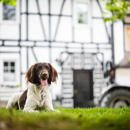 Hof Köhne - Haus Feldscheune Links