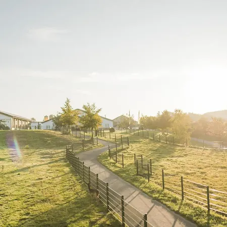 Hof Koehne - Haus Feldscheune Links 別荘
