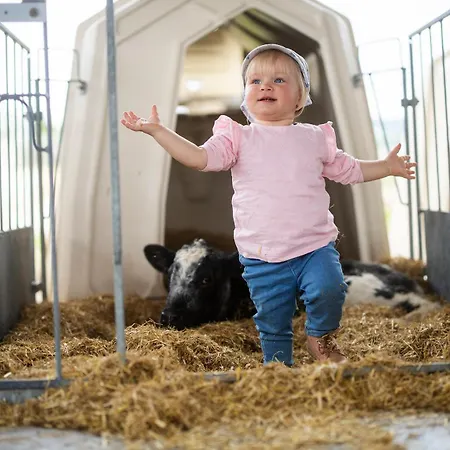 Ferienhaus Hof Köhne - Haus Feldscheune Links *