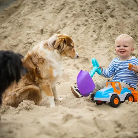 Hof Köhne - Haus Feldscheune Links * Schmallenberg