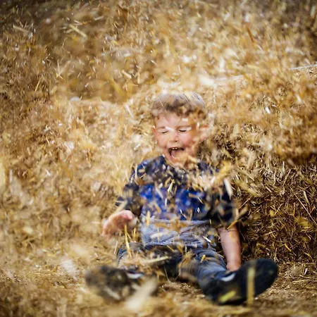 Ferienhaus Hof Köhne - Haus Feldscheune Links *