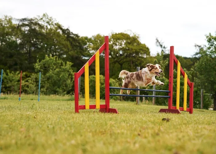 Hof Koehne - Haus Feldscheune Links Hébergement de vacances Schmallenberg