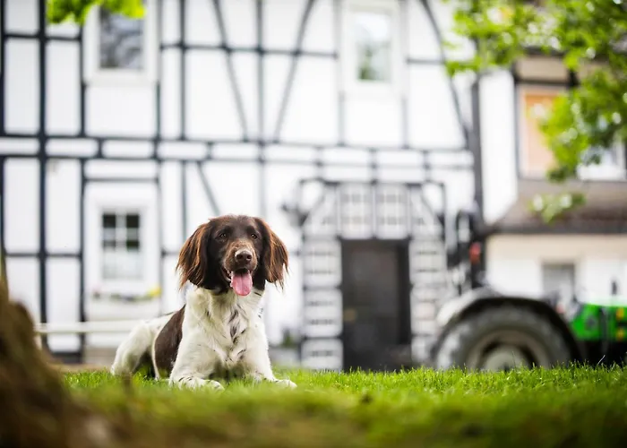 Hof Koehne - Haus Feldscheune Links