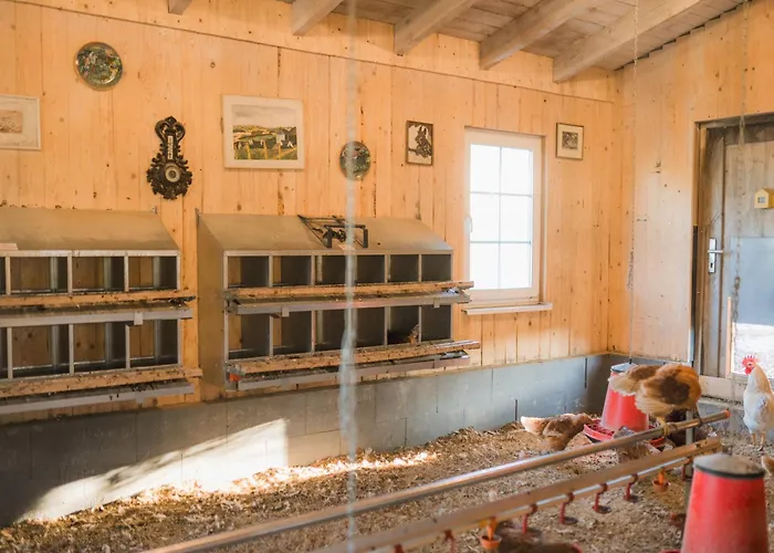 Hof Koehne - Haus Feldscheune Links Hébergement de vacances Schmallenberg