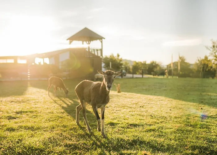 Hof Koehne - Haus Feldscheune Links * Schmallenberg