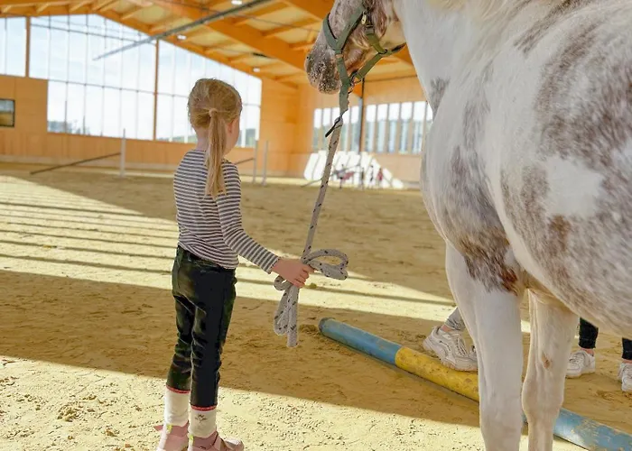 Hof Koehne - Haus Feldscheune Links Hébergement de vacances *